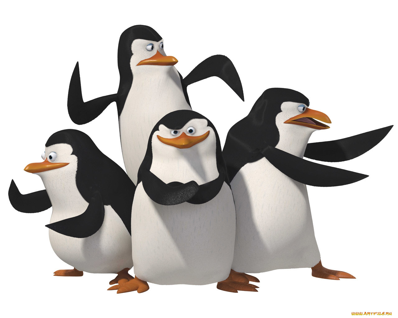 , madagascar